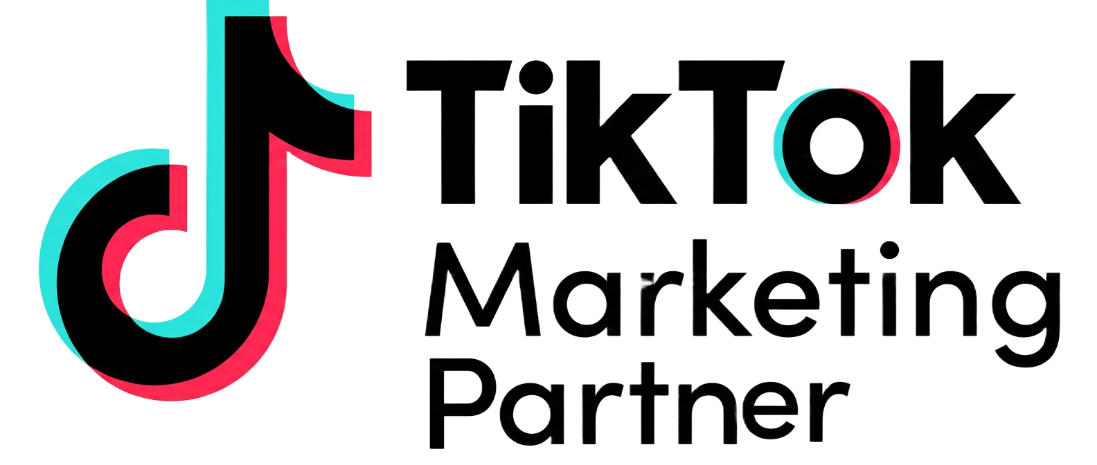 TikTok Marketing Partner